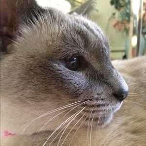 Meet your Posher, Linda